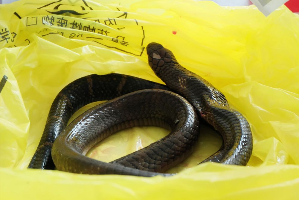 best365网页版登录官网